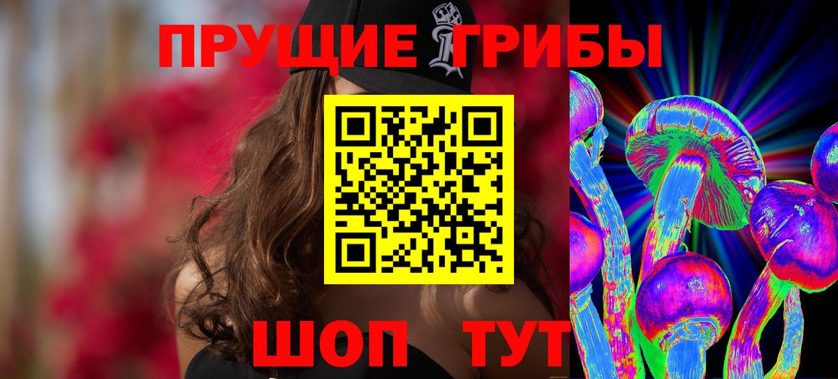 Псилоцибиновые грибы GOLDEN TEACHER Апрелевка